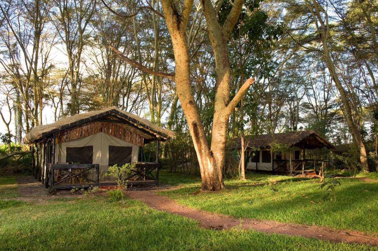 Migunga Tented Camp Мто-ва-Мбу Екстер'єр фото